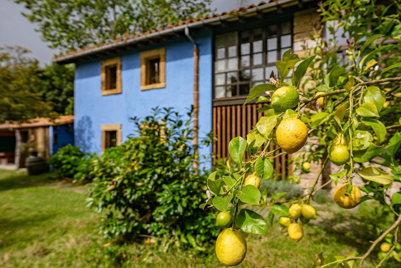 Ganzes Studio, Einzimmerapartment 'Suite Galería' mit privater Terrasse, privatem Garten und Wi-Fi in Argüeru, Villaviciosa