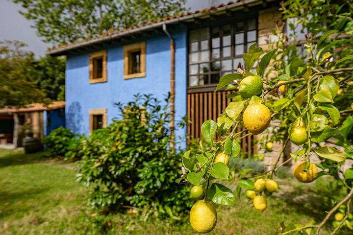 Estudio para 3 personas, con jardín en Asturias - 3