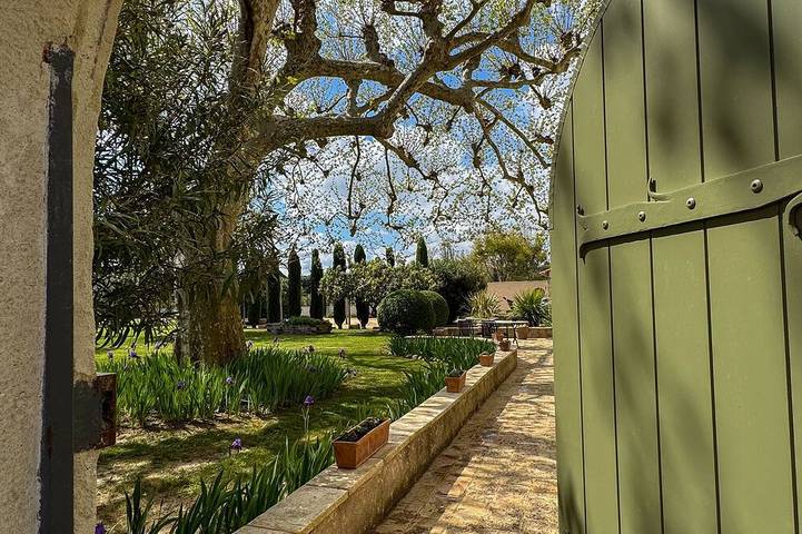 Familiengeführtes Mas Provençal im Herzen der Alpilles, 15 Min von St Rémy de Provence in Noves, Arles und Umgebung