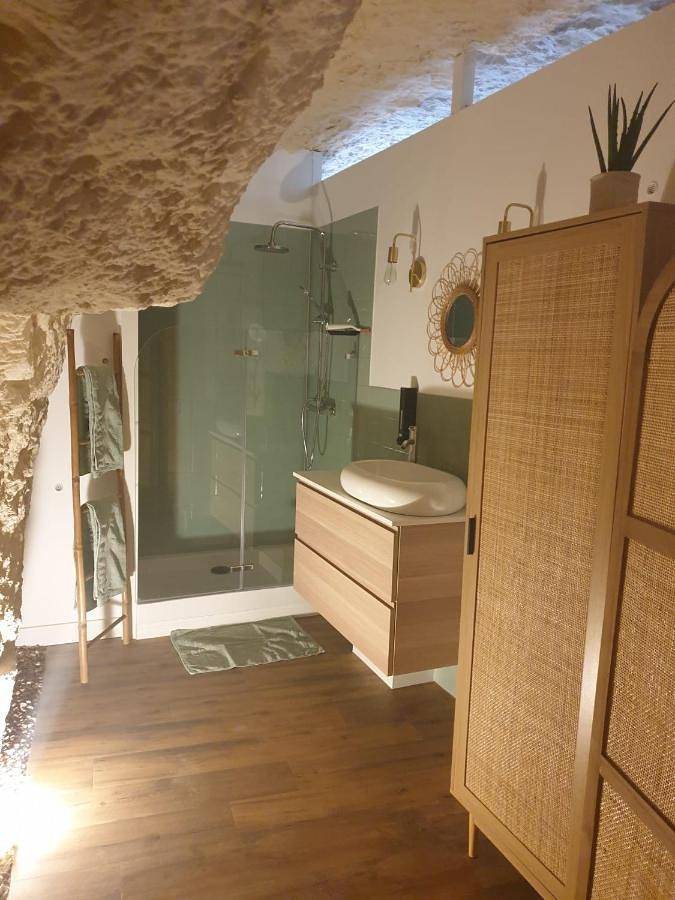 Gîte pour 4 personnes, avec jardin, animaux acceptés à Cangey - 4