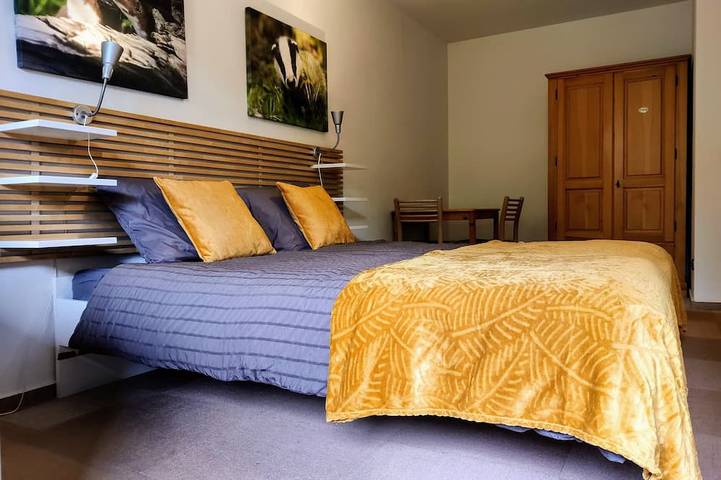 Ferienhaus für 32 Personen, mit Balkon und Garten, mit Haustier in Olsberg - 2