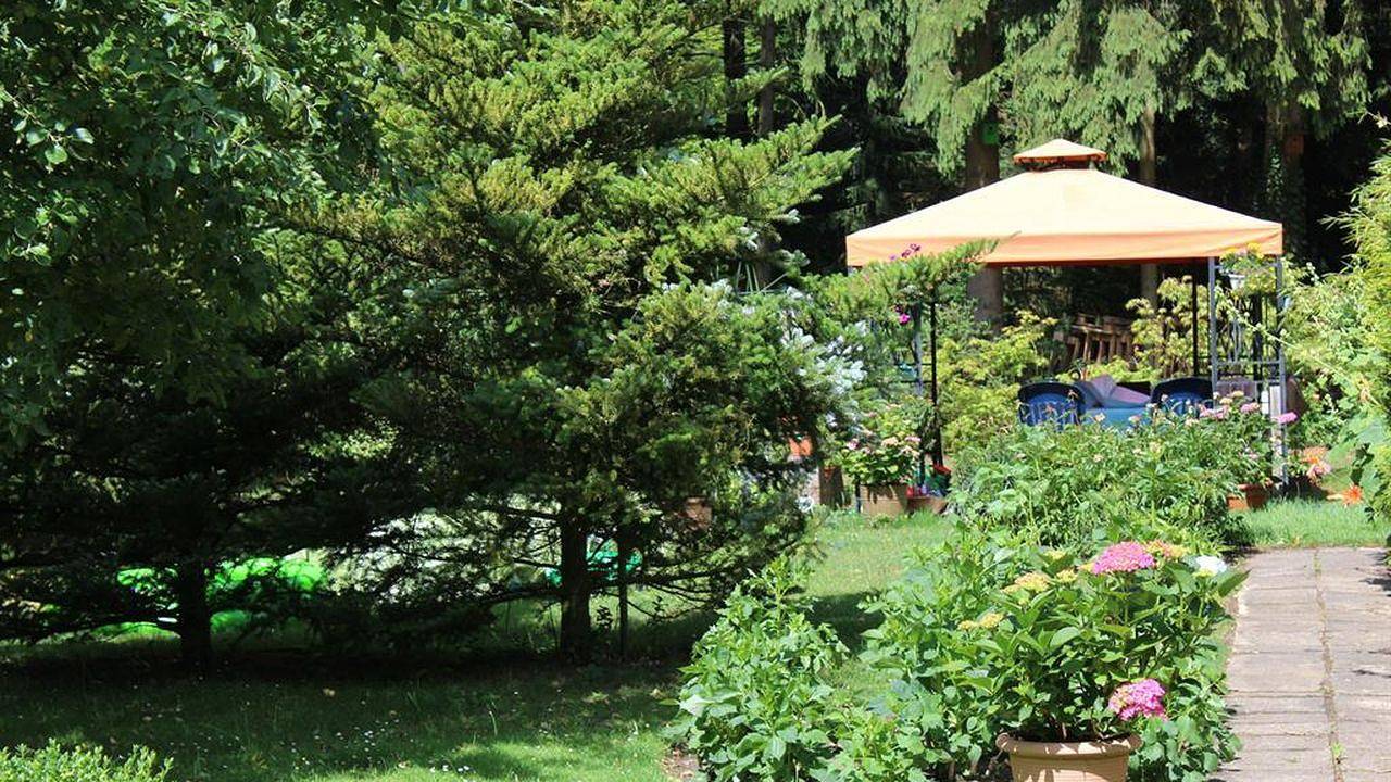 Ferienhaus für 4 Personen (60 m²) in Soltau in Soltau, Landkreis Heidekreis