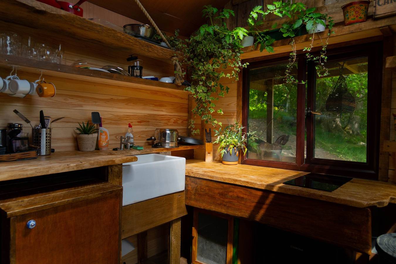 Wood Cabin & 4 Large Bell Tents - Hapus Hideaway in Conwy region