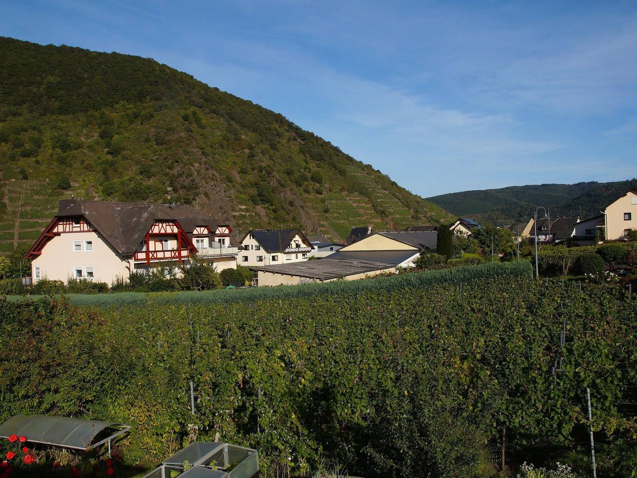 Ferienweingut Hugo Friederich & Sohn - Doppelzimmer in Briedern, Cochem-Zell