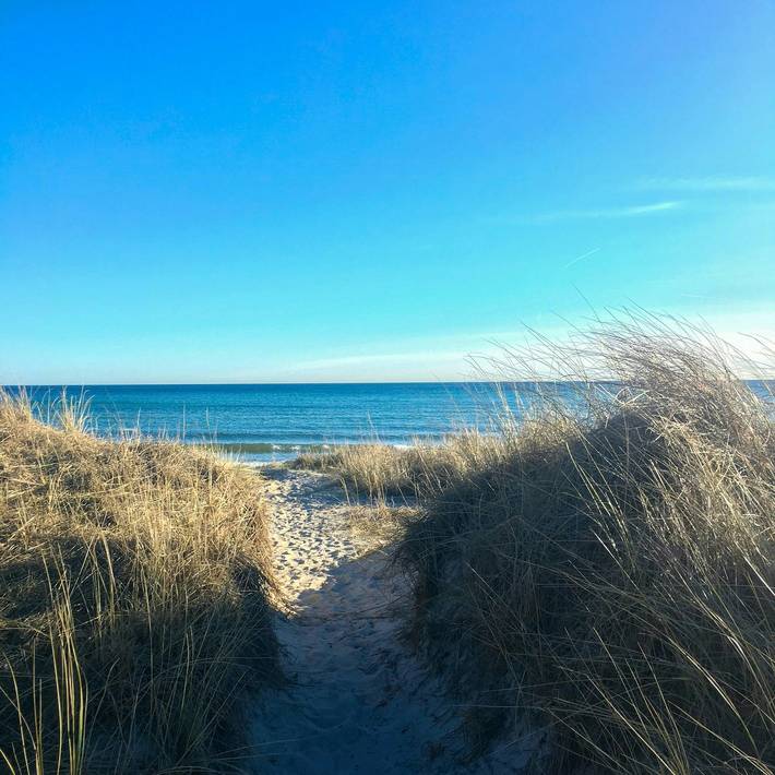 Haus 100 Meter vom Meer entfernt in Beddingestrand in Beddingestrand, Skateholm