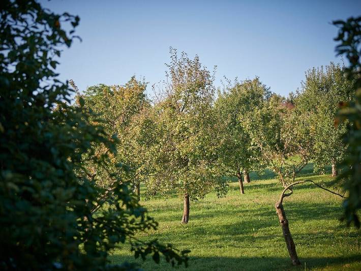 Ferienhaus für 4 Personen, mit Garten in der Fränkische Schweiz - 2
