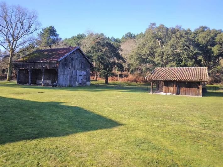 Gîte pour 14 personnes à Vielle-Saint-Girons - 2