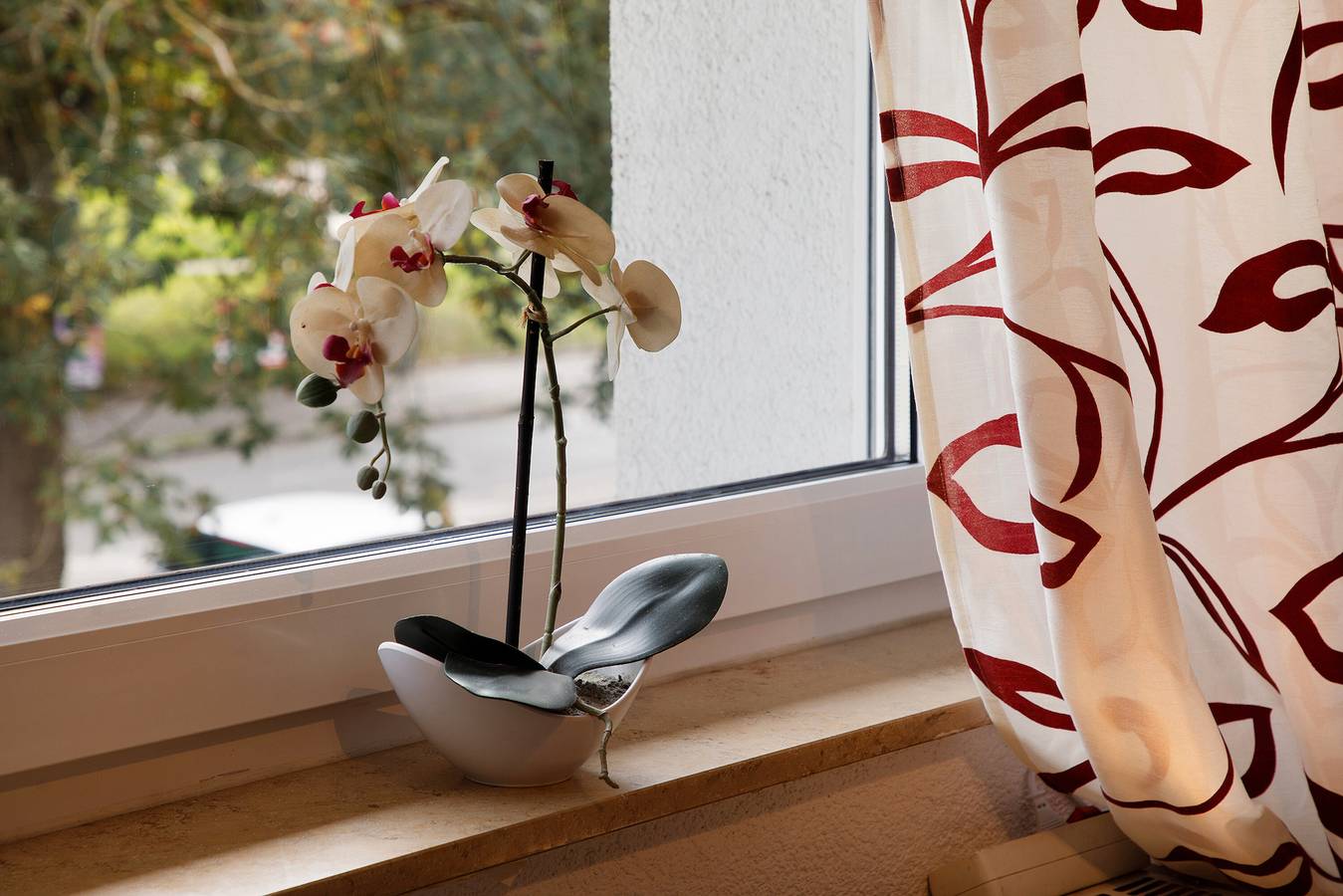 Ganze Wohnung, Garden view -  apartment for up to 6 people. in Laupheim, Landkreis Biberach