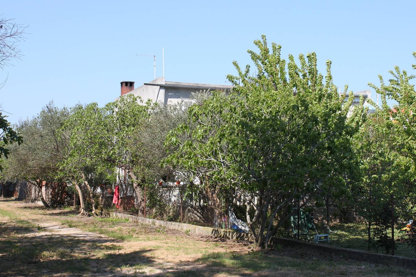 Ganze Wohnung, Studio Appartement am Strand Sukosan, Zadar As-6133-a in Sukosan, Zadar