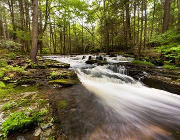 Log Cabin for 2 People in Pocono Mountains, Pennsylvania, Photo 4
