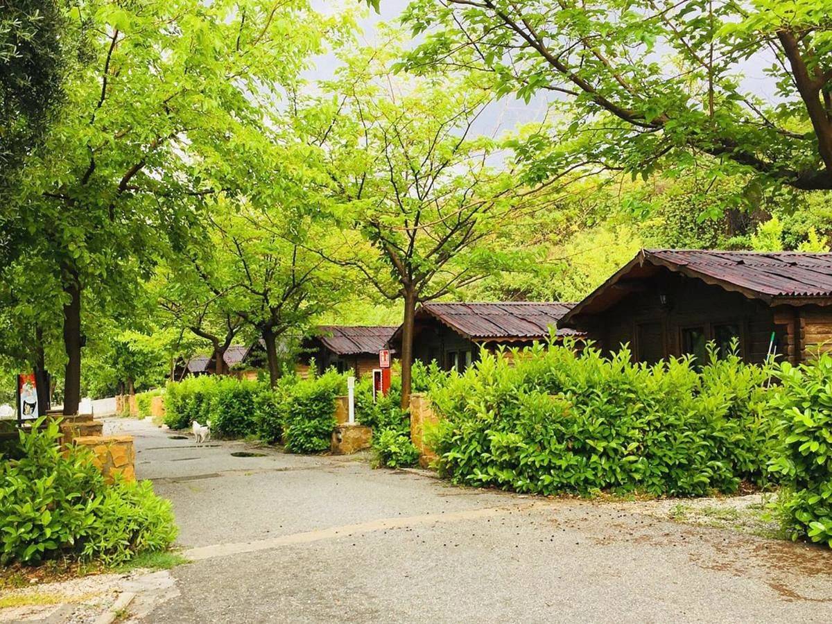 Fuente del Lobo Glamping & Bungalows - Adults Only in Okolice Sierra Nevada, Pinos Genil