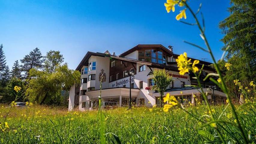 Zimmer für 2 Personen, mit Terrasse und Garten, mit Haustier - 1