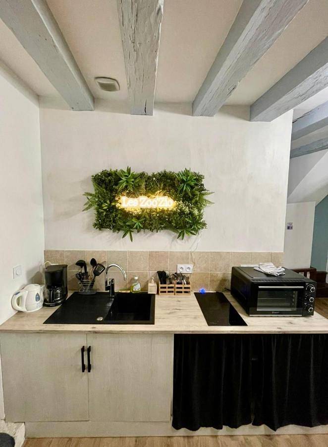 Appartement entier, Gite Le Nid des Zoo Zio, 5mn Beauval, appartement terrasse centre-ville in Saint-Aignan, Région de Romorantin-Lanthenay