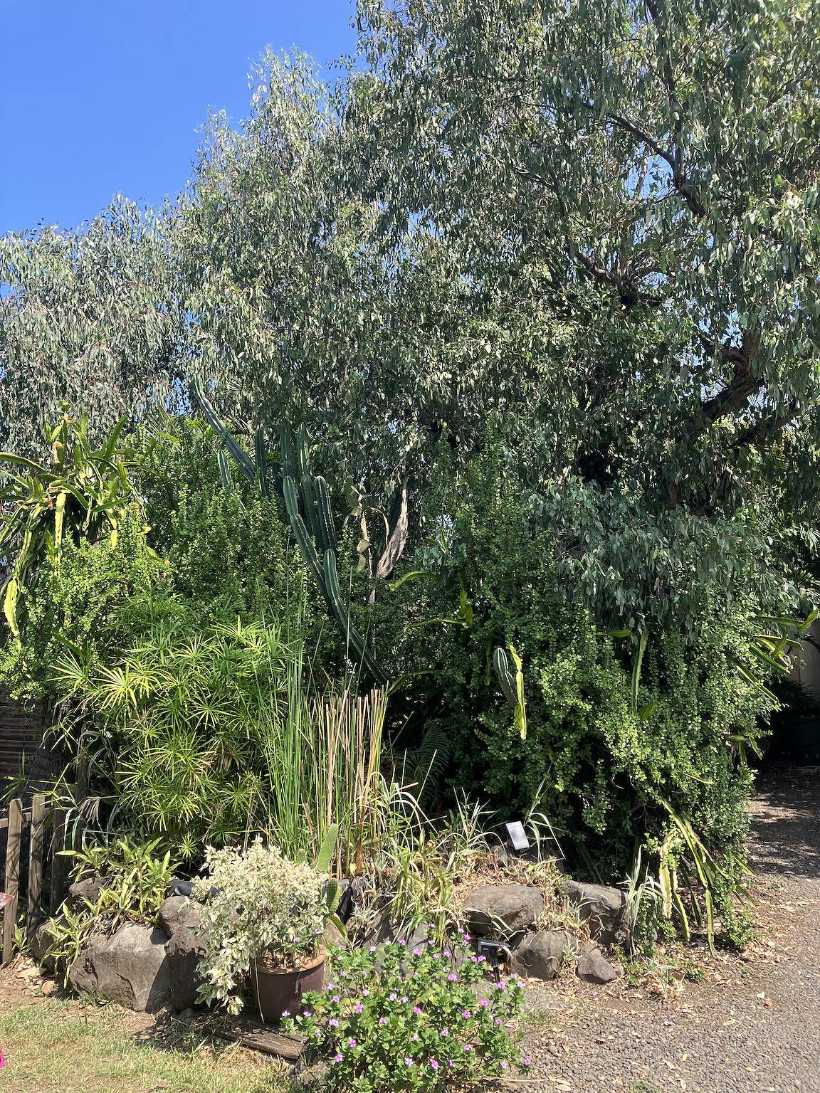 Gite villas indépendantes Ti bois de nèfles coco in Saint-Louis (Réunion), Île de la Réunion