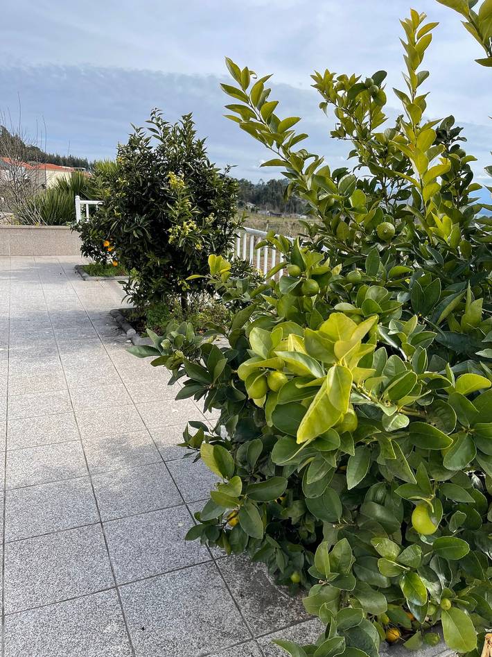 Location de vacances pour 3 personnes, avec Jardin à Celorico de Basto - 4