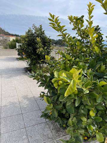 Casa De Férias para 3 Pessoas em Agilde, Distrito de Braga, Foto 3