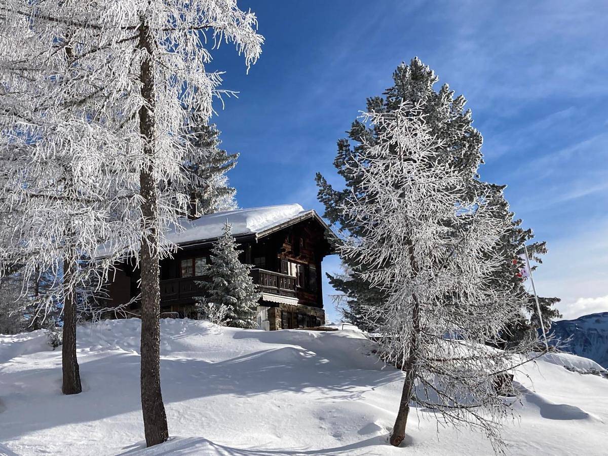Ganze Wohnung, Chalet Balfrin Alpweg 9, 3987 Riederalp in Riederalp, Aletsch Arena