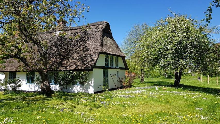 Ferienhaus für 5 Personen, mit Garten in Esgrus - 2