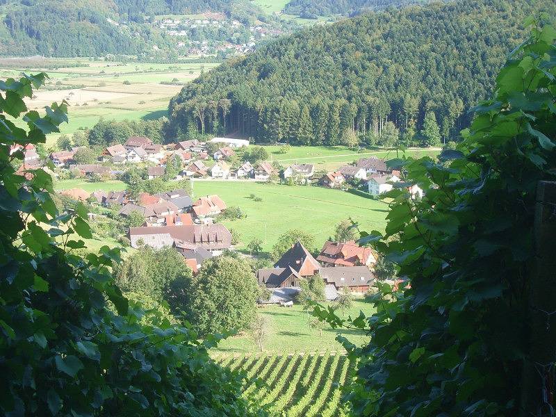 Ganze Ferienwohnung, Ferienwohnung Himmelsbach - Ferienwohnung Rebenblick, 60qm, 2 Schlafzimmer, max. 4 Personen in Gengenbach, Kinzigtal