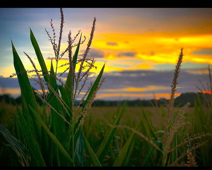Location de vacances pour 17 personnes, avec piscine et terrasse dans Beaurepaire - 3