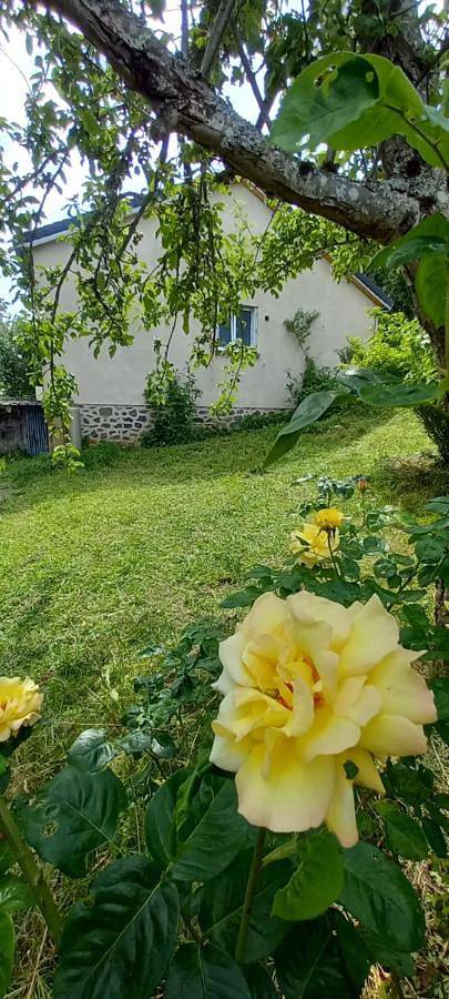 Location de vacances pour 4 personnes, avec jardin et vue à Sainte-Eulalie (Cantal) - 2