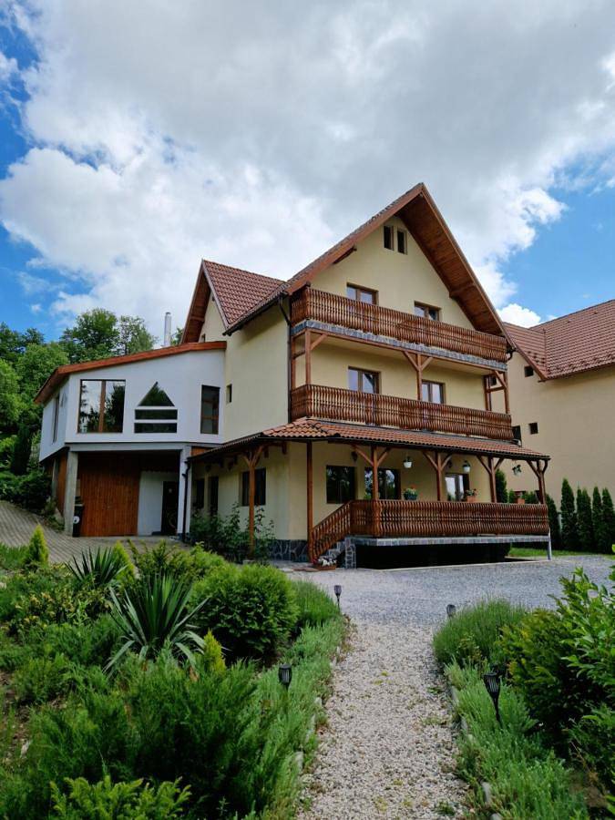 Business Double Room with Gym Access in Sovata