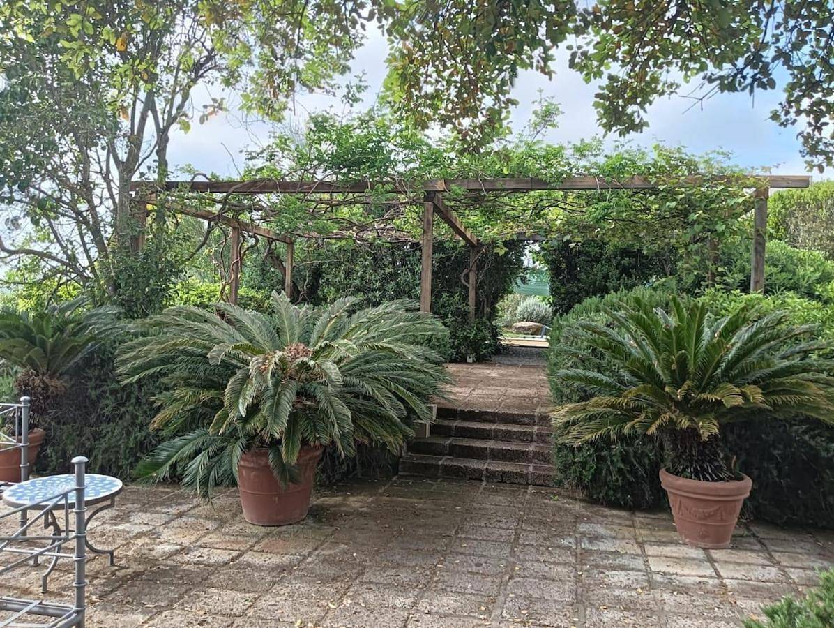 Wonderfull counrty villa, views on sea & Capalbio in Capalbio, Provincia di Grosseto
