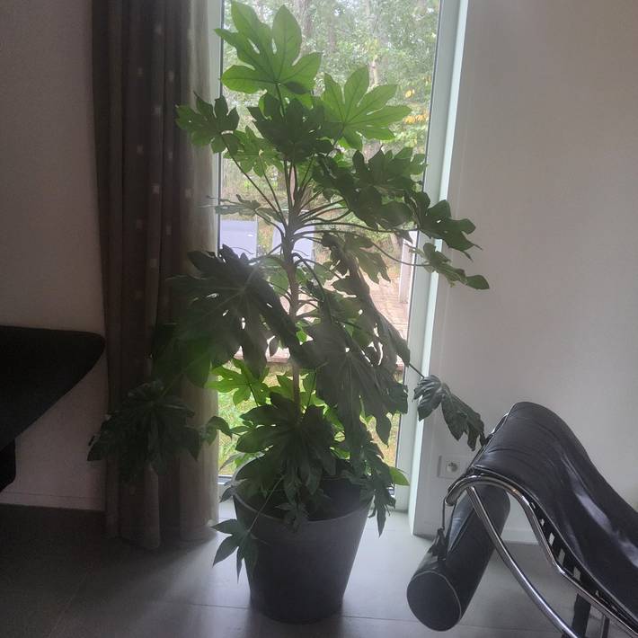 Location de vacances pour 4 personnes, avec jardin ainsi que jacuzzi et terrasse dans Région d'Anvers - 3