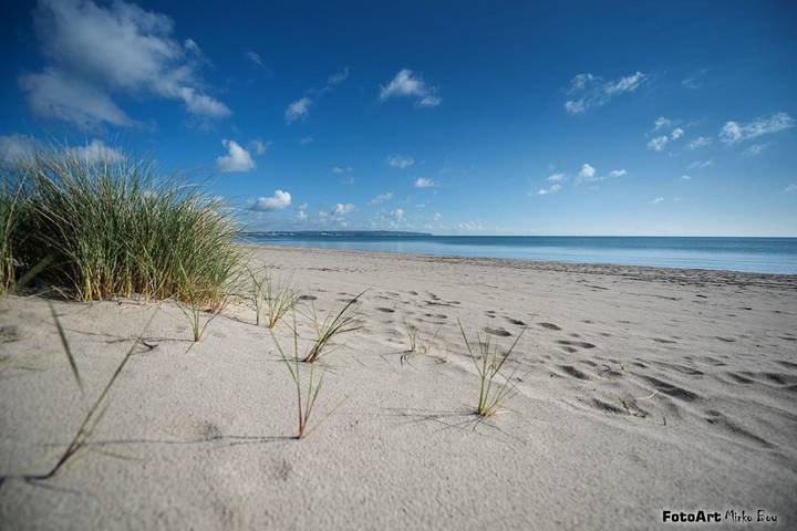 Bungalow für 4 Personen, mit Terrasse in Binz - 2