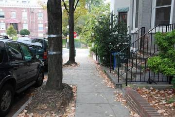 Apartment for 4 Guests in Washington D.C., District of Columbia, Picture 1