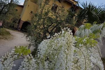 Agriturismo per 4 Persone in Scandicci, Firenze e dintorni, Foto 1