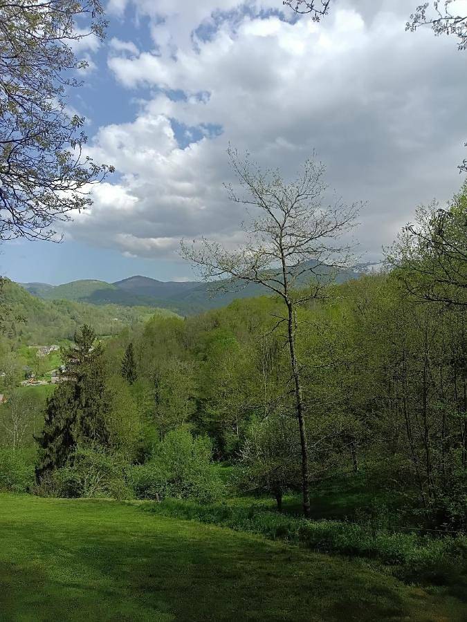 Gîte pour 3 personnes, avec vue ainsi que sauna et jardin à Massat - 3