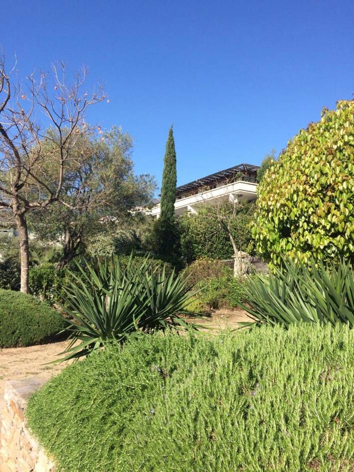 Gîte pour 4 personnes, avec vue et jardin à Ville-di-Pietrabugno - 3