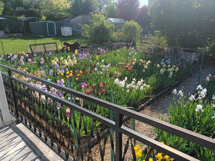 Location de vacances pour 6 personnes, avec jardin à Tonnerre (Yonne) - 3