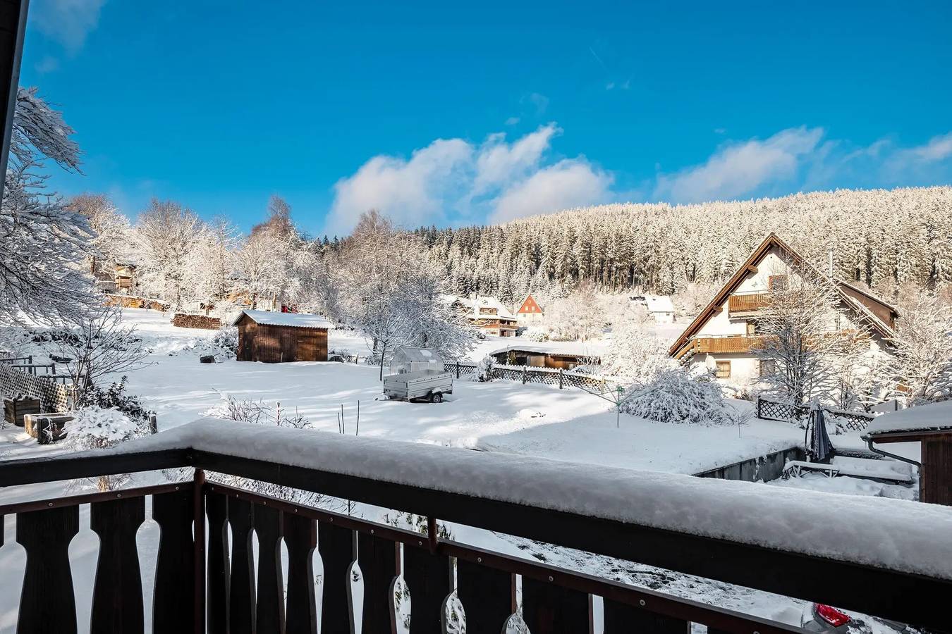 Geheel appartement, Appartement 'Haus Doktor Saeltzer tot 13 personen' met bergzicht, tuin & wifi in Saig, Lenzkirch