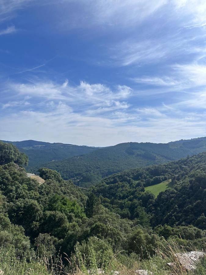 Location de vacances pour 10 personnes, avec Terrasse ainsi que Jardin et Vue à Gabriac - 4
