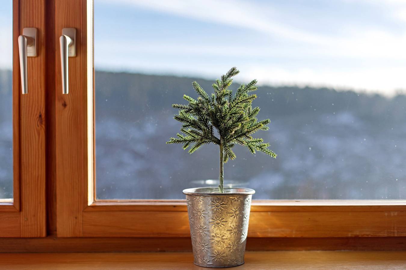 Ganze Wohnung, Ferienwohnung 'Haus Wintersonne - Fewo Auerhahn' mit Gemeinschaftsgarten, Balkon und Wi-Fi in Falkau (Feldberg), Feldberg