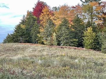 Glamping for 6 Guests in Vermont, USA, Picture 2