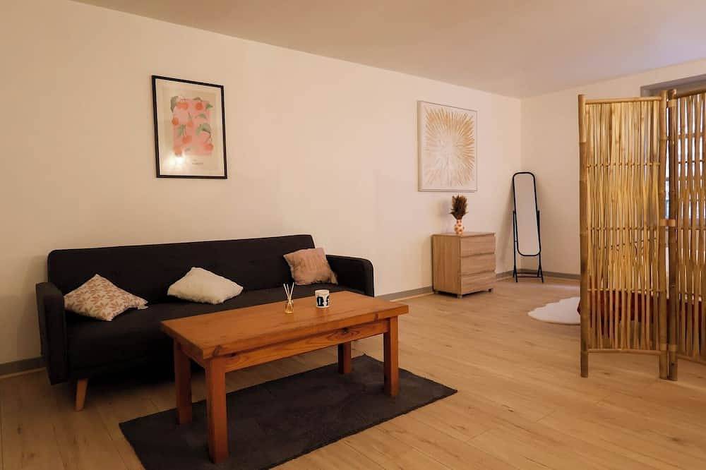 Appartement entier, Le Saint Regis - Hyper centre. in Le Puy-en-Velay, Haute-Loire