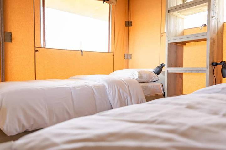 Ferienhaus für 6 Personen, mit Pool und Balkon in Westerland (Niederlande) - 2