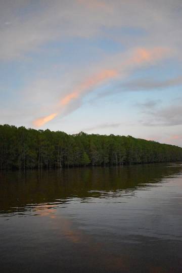 Log Cabin for 2 Guests in Texas, Picture 4
