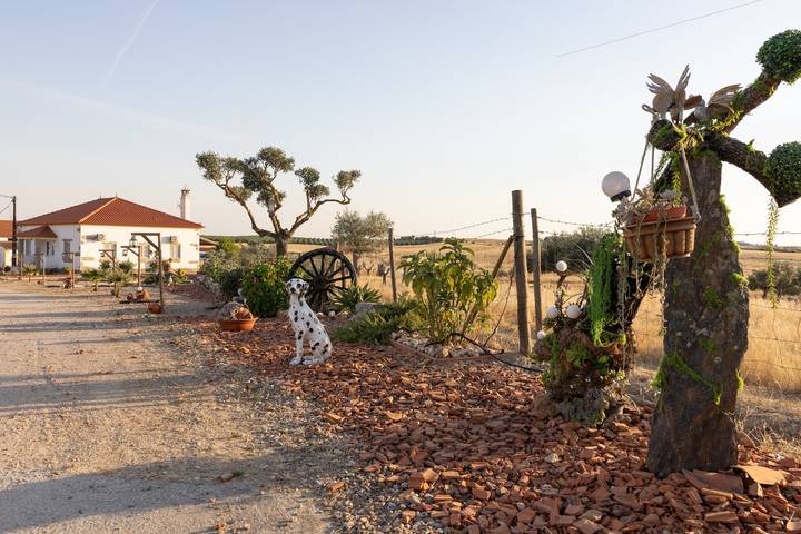 Studio für 3 Personen, mit Garten, mit Haustier in Portugal - 3