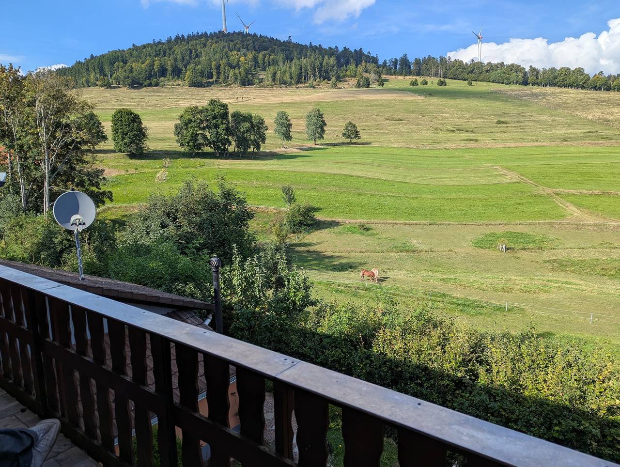 Ganze Ferienwohnung, Ferienwohnung Bahr in Schopfheim, Südschwarzwald
