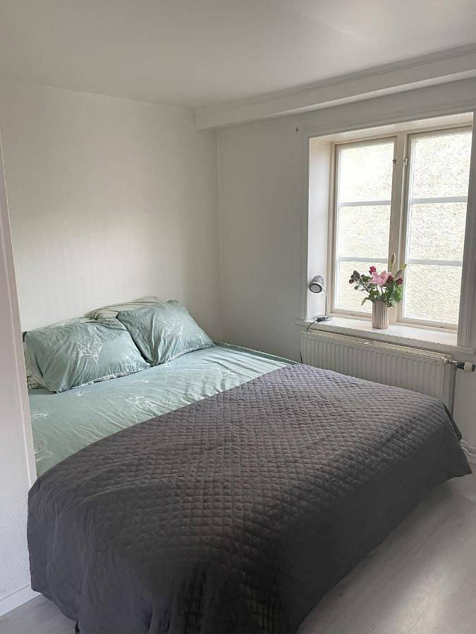 Ferienwohnung für 3 Personen, mit Haustier - 1