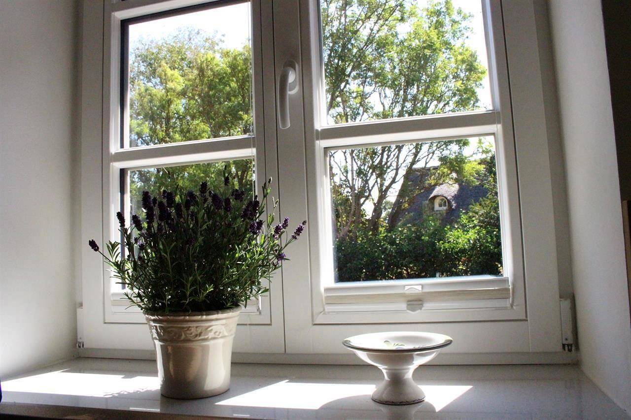 Ganze Ferienwohnung, Reetdachhaus Brigitte in St. Peter-Bad, St. Peter-Ording