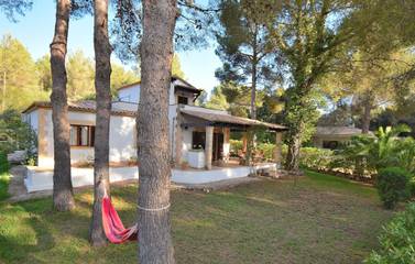 Ferienhaus in Bonaire, Alcúdia für 6 