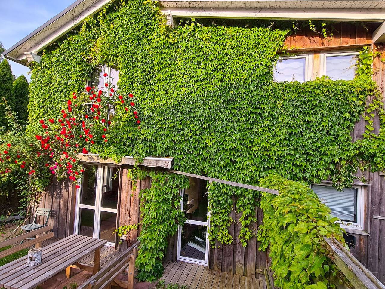 Grünes Sundchalet - Ferienhaus in Stralsund, Stralsund Umland