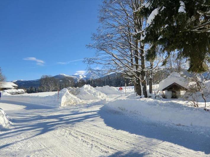 Ferienwohnung für 2 Personen, mit Balkon und Terrasse sowie Garten in Ramsau am Dachstein - 2