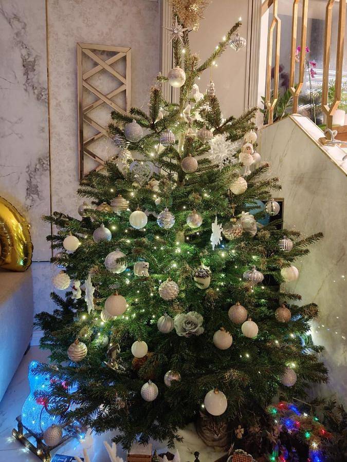 Villa pour 5 personnes, avec jardin à La Baule-Escoublac - 2