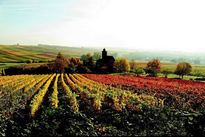 Maison d’hôte pour 2 personnes, avec jardin ainsi que vue et sauna dans Dorrenbach